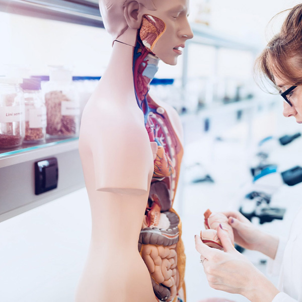 Formation “Fondamentaux de la pédagogie universitaire”